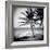 Palm Trees by the Beach at Bweju, Zanzibar, Tanzania, East Africa-Lee Frost-Framed Photographic Print