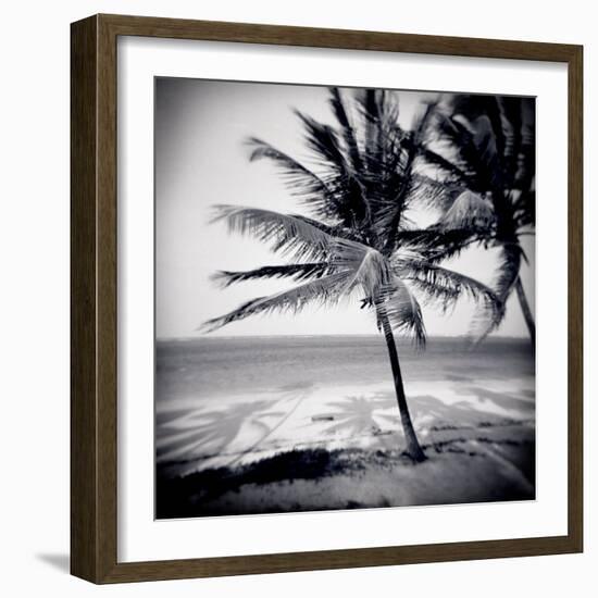 Palm Trees by the Beach at Bweju, Zanzibar, Tanzania, East Africa-Lee Frost-Framed Photographic Print