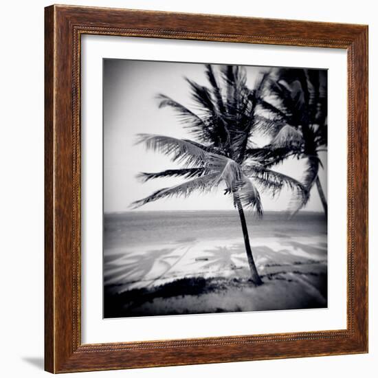 Palm Trees by the Beach at Bweju, Zanzibar, Tanzania, East Africa-Lee Frost-Framed Photographic Print