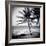 Palm Trees by the Beach at Bweju, Zanzibar, Tanzania, East Africa-Lee Frost-Framed Photographic Print