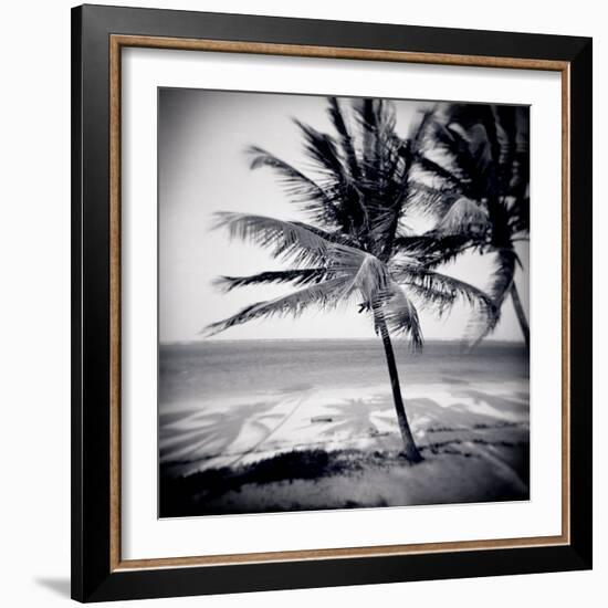 Palm Trees by the Beach at Bweju, Zanzibar, Tanzania, East Africa-Lee Frost-Framed Photographic Print