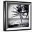 Palm Trees by the Beach at Bweju, Zanzibar, Tanzania, East Africa-Lee Frost-Framed Photographic Print