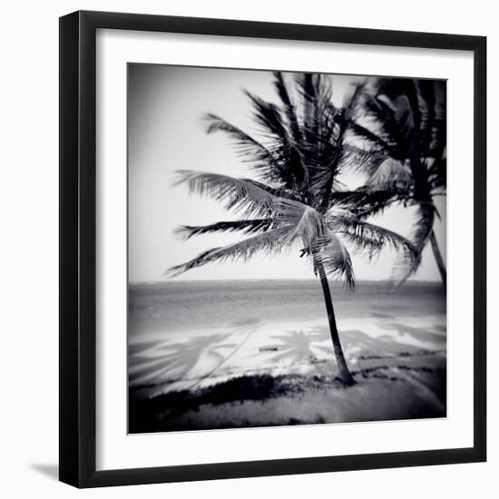 Palm Trees by the Beach at Bweju, Zanzibar, Tanzania, East Africa-Lee Frost-Framed Photographic Print