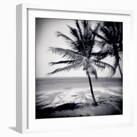 Palm Trees by the Beach at Bweju, Zanzibar, Tanzania, East Africa-Lee Frost-Framed Photographic Print