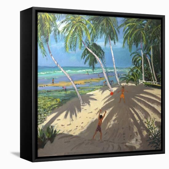 Palm Trees, Clovelly Beach, Barbados, 2013-Andrew Macara-Framed Premier Image Canvas