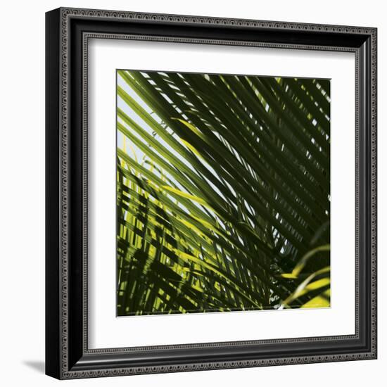 Palm Trees, Dominican Republic, Punta Cana-Lisa S^ Engelbrecht-Framed Art Print