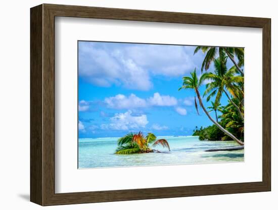 Palm trees edging, Scout Park Beach, Cocos (Keeling) Islands, Indian Ocean, Asia-Lynn Gail-Framed Photographic Print