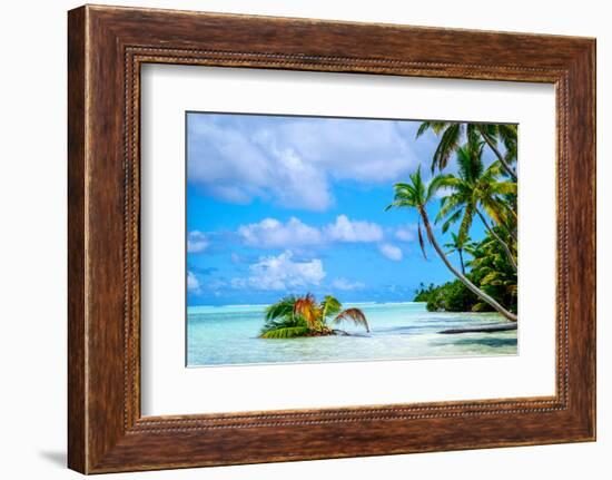 Palm trees edging, Scout Park Beach, Cocos (Keeling) Islands, Indian Ocean, Asia-Lynn Gail-Framed Photographic Print