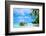 Palm trees edging, Scout Park Beach, Cocos (Keeling) Islands, Indian Ocean, Asia-Lynn Gail-Framed Photographic Print
