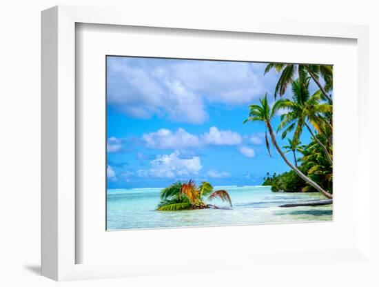 Palm trees edging, Scout Park Beach, Cocos (Keeling) Islands, Indian Ocean, Asia-Lynn Gail-Framed Photographic Print