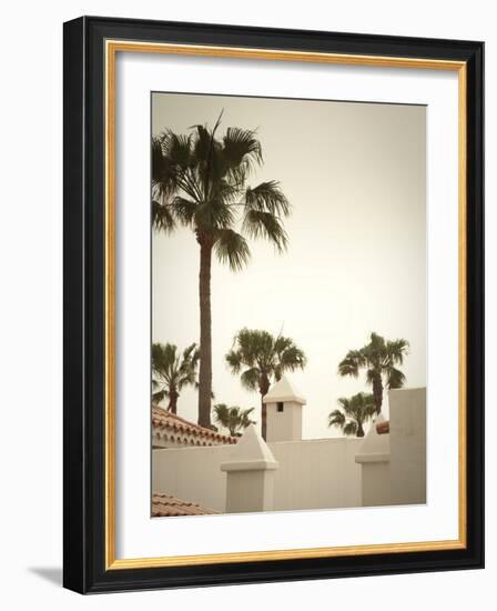 Palm Trees, Fuerteventura, Canary Islands, Spain-Jon Arnold-Framed Photographic Print