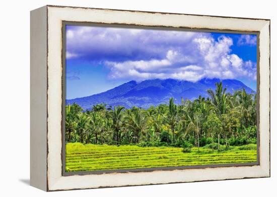 Palm trees growing throughout the jungle forests of central Bali, up into the volcanic mountains.-Greg Johnston-Framed Premier Image Canvas