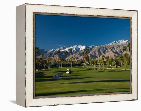 Palm Trees in a Golf Course, Desert Princess Country Club, Palm Springs, California-null-Framed Premier Image Canvas
