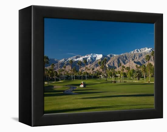 Palm Trees in a Golf Course, Desert Princess Country Club, Palm Springs, California-null-Framed Premier Image Canvas