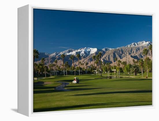 Palm Trees in a Golf Course, Desert Princess Country Club, Palm Springs, California-null-Framed Premier Image Canvas