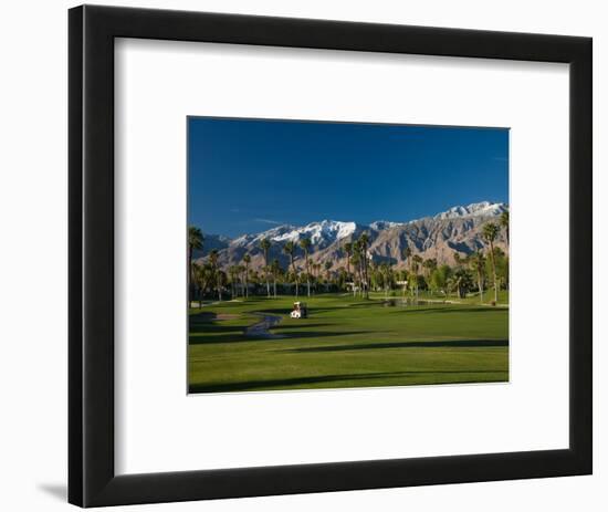 Palm Trees in a Golf Course, Desert Princess Country Club, Palm Springs, California-null-Framed Photographic Print