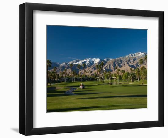 Palm Trees in a Golf Course, Desert Princess Country Club, Palm Springs, California-null-Framed Photographic Print