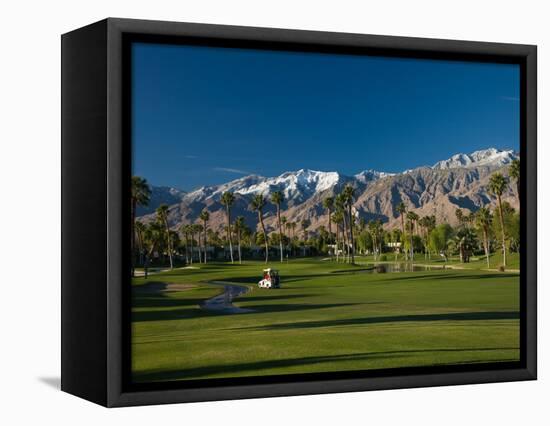 Palm Trees in a Golf Course, Desert Princess Country Club, Palm Springs, California-null-Framed Premier Image Canvas