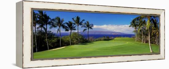 Palm Trees in a Golf Course, Wailea Emerald Course, Maui, Hawaii, Usa-null-Framed Premier Image Canvas