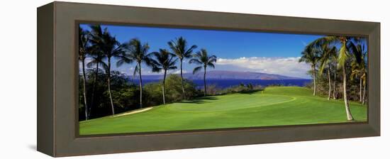 Palm Trees in a Golf Course, Wailea Emerald Course, Maui, Hawaii, Usa-null-Framed Premier Image Canvas