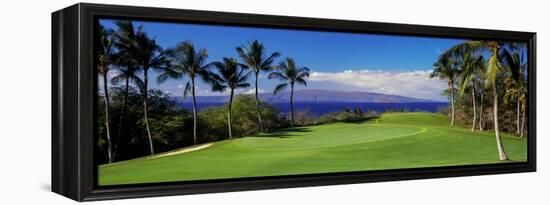 Palm Trees in a Golf Course, Wailea Emerald Course, Maui, Hawaii, Usa-null-Framed Premier Image Canvas