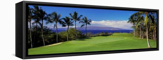 Palm Trees in a Golf Course, Wailea Emerald Course, Maui, Hawaii, Usa-null-Framed Premier Image Canvas