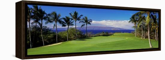 Palm Trees in a Golf Course, Wailea Emerald Course, Maui, Hawaii, Usa-null-Framed Premier Image Canvas