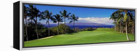 Palm Trees in a Golf Course, Wailea Emerald Course, Maui, Hawaii, Usa-null-Framed Premier Image Canvas