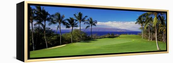 Palm Trees in a Golf Course, Wailea Emerald Course, Maui, Hawaii, Usa-null-Framed Premier Image Canvas