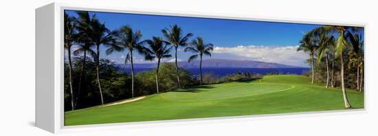 Palm Trees in a Golf Course, Wailea Emerald Course, Maui, Hawaii, Usa-null-Framed Premier Image Canvas