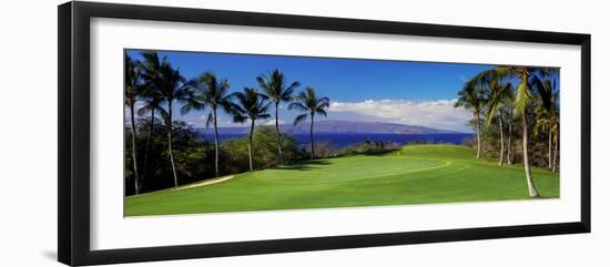 Palm Trees in a Golf Course, Wailea Emerald Course, Maui, Hawaii, Usa--Framed Photographic Print