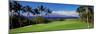 Palm Trees in a Golf Course, Wailea Emerald Course, Maui, Hawaii, Usa-null-Mounted Photographic Print