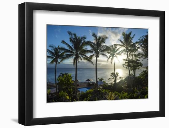 Palm trees in backlight in Niue, South Pacific, Pacific-Michael Runkel-Framed Photographic Print