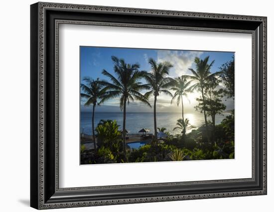 Palm trees in backlight in Niue, South Pacific, Pacific-Michael Runkel-Framed Photographic Print