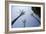 Palm Trees in Cadiz-Felipe Rodriguez-Framed Photographic Print