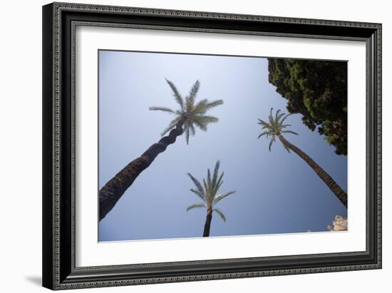 Palm Trees in Cadiz-Felipe Rodriguez-Framed Photographic Print