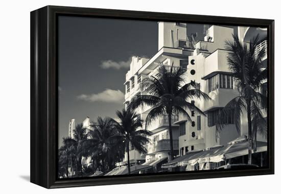 Palm trees in front of art Deco hotels, Ocean Drive, South Beach, Miami Beach, Miami-Dade County...-Panoramic Images-Framed Premier Image Canvas