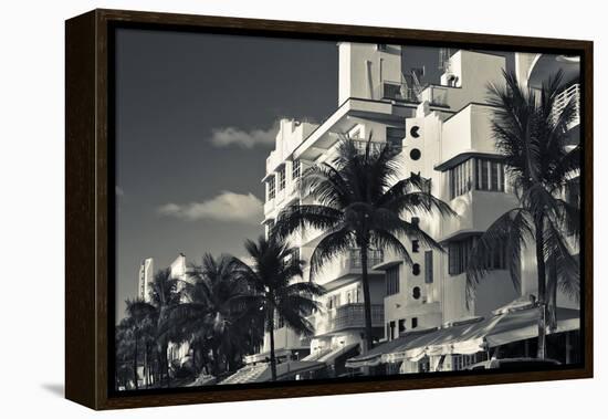 Palm trees in front of art Deco hotels, Ocean Drive, South Beach, Miami Beach, Miami-Dade County...-Panoramic Images-Framed Premier Image Canvas