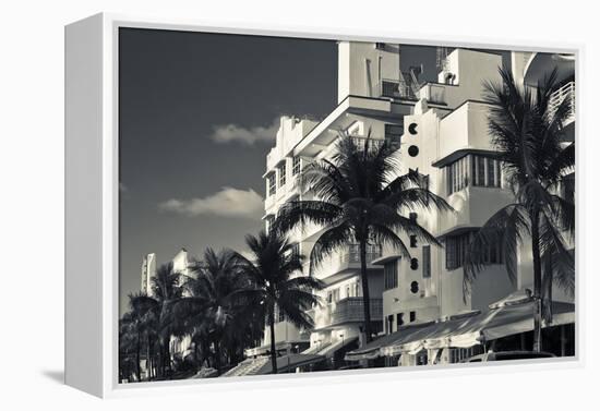 Palm trees in front of art Deco hotels, Ocean Drive, South Beach, Miami Beach, Miami-Dade County...-Panoramic Images-Framed Premier Image Canvas