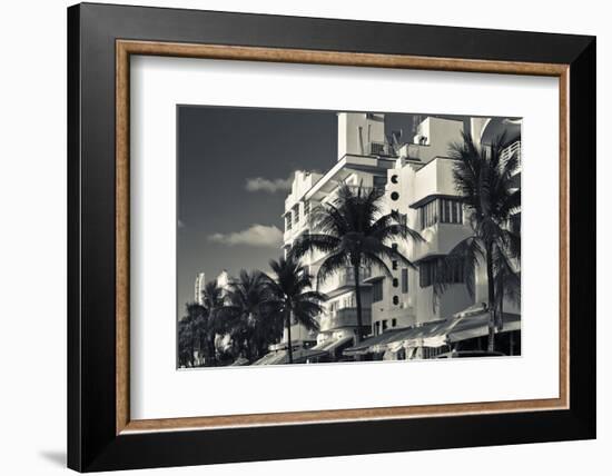 Palm trees in front of art Deco hotels, Ocean Drive, South Beach, Miami Beach, Miami-Dade County...-Panoramic Images-Framed Premium Photographic Print