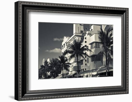 Palm trees in front of art Deco hotels, Ocean Drive, South Beach, Miami Beach, Miami-Dade County...-Panoramic Images-Framed Premium Photographic Print