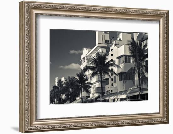 Palm trees in front of art Deco hotels, Ocean Drive, South Beach, Miami Beach, Miami-Dade County...-Panoramic Images-Framed Photographic Print