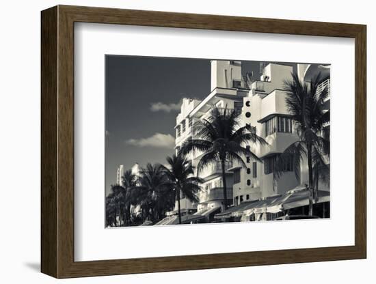 Palm trees in front of art Deco hotels, Ocean Drive, South Beach, Miami Beach, Miami-Dade County...-Panoramic Images-Framed Photographic Print