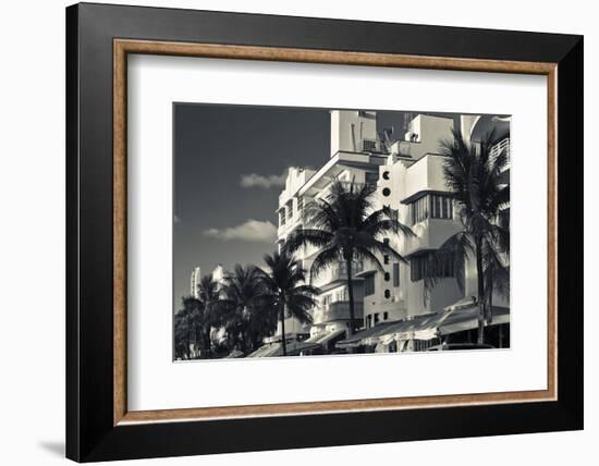 Palm trees in front of art Deco hotels, Ocean Drive, South Beach, Miami Beach, Miami-Dade County...-Panoramic Images-Framed Photographic Print