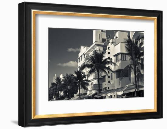 Palm trees in front of art Deco hotels, Ocean Drive, South Beach, Miami Beach, Miami-Dade County...-Panoramic Images-Framed Photographic Print