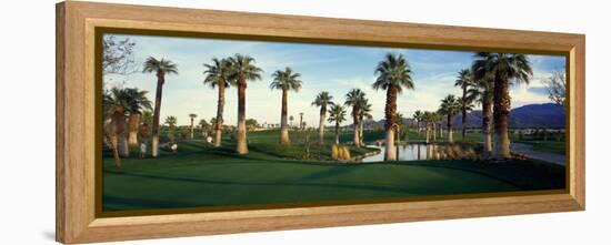 Palm Trees in Golf Course, Desert Springs Golf Course, Palm Springs, Riverside County, California-null-Framed Premier Image Canvas