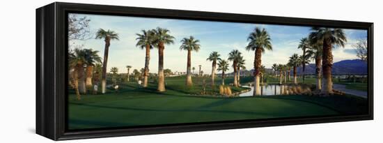 Palm Trees in Golf Course, Desert Springs Golf Course, Palm Springs, Riverside County, California-null-Framed Premier Image Canvas