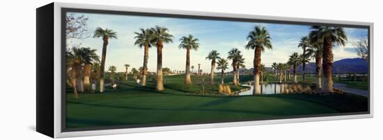 Palm Trees in Golf Course, Desert Springs Golf Course, Palm Springs, Riverside County, California-null-Framed Premier Image Canvas