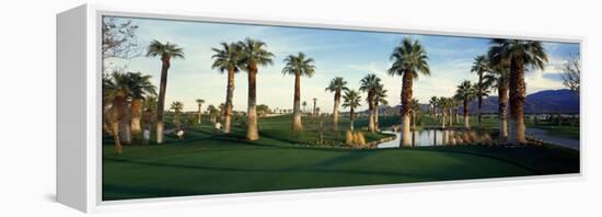 Palm Trees in Golf Course, Desert Springs Golf Course, Palm Springs, Riverside County, California-null-Framed Premier Image Canvas