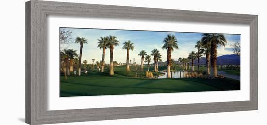 Palm Trees in Golf Course, Desert Springs Golf Course, Palm Springs, Riverside County, California-null-Framed Photographic Print